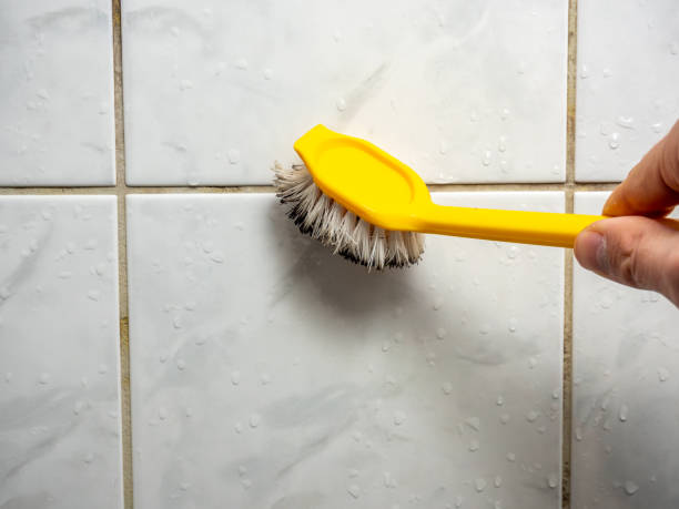 Certified Mold Removal in Cullman, AL