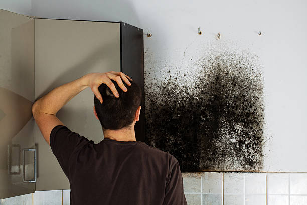 Best Mold Testing  in Cullman, AL